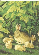 Conigli selvatici : Tempera di Donald Crowley : Formato 18,5 x 13 cm.