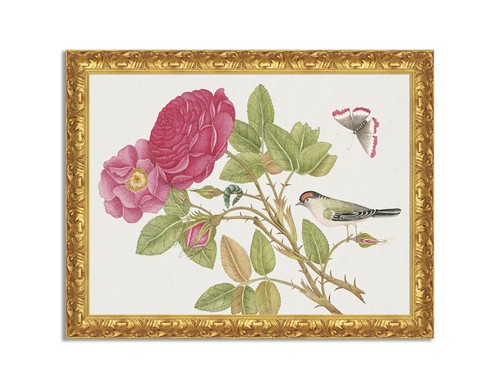 Quadro stampa tela - quadro, su