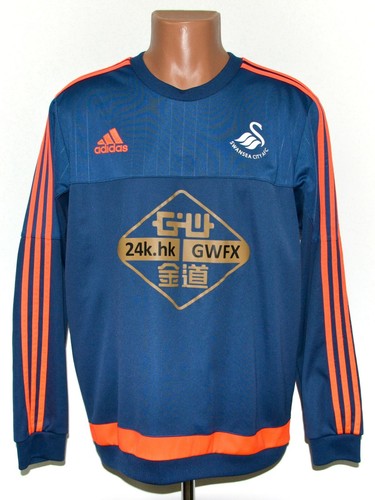Swansea city 2015 2016 - city, 2015/2016