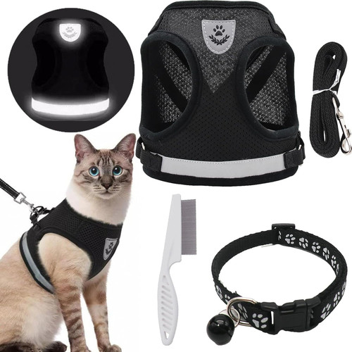 Pettorina gatto piccolo - gatto,