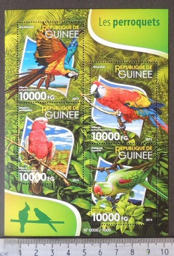 Guinea 2015 uccellini