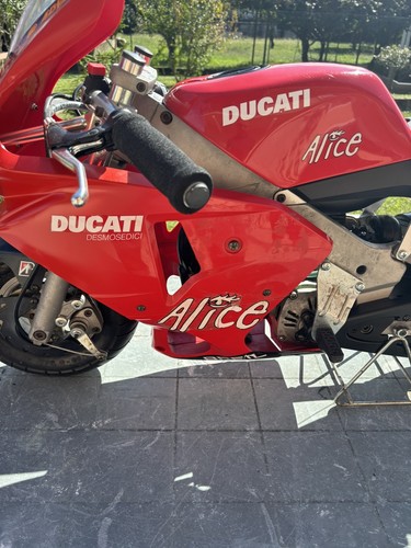 Minimoto polini ducati - minimoto,