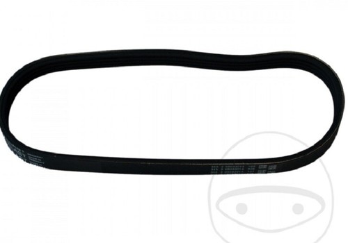 Cinghia alternatore - cinghia,