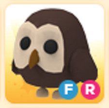 FR Owl - Negozio economico e affidabile!!