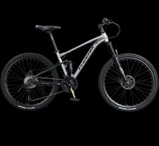 Phoenix Warrior Mountain Bike