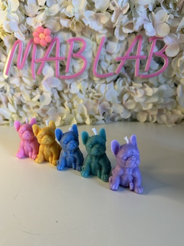 Set piccoli bulldog - ,