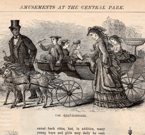 Amusements central park - amusements,