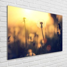 Quadro in vetro quadri da