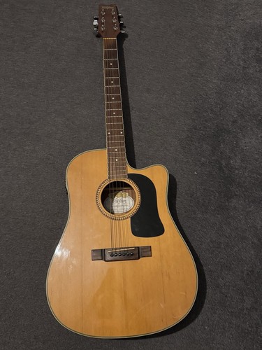 Chitarra acustica washburn - chitarra,