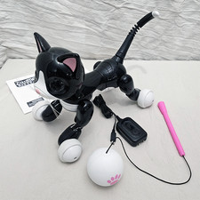 Grado A Zoomer Kitty smoking
