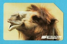 SCHEDA TELEFONICA-ANIMALI PER MODO DI DIRE-CAMMELLO-TELECOM-C&C 2914-GOLDEN 843