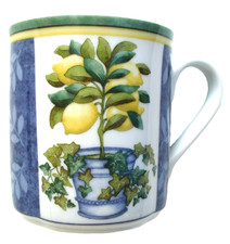 VILLEROY & BOCH ~ Interruttore