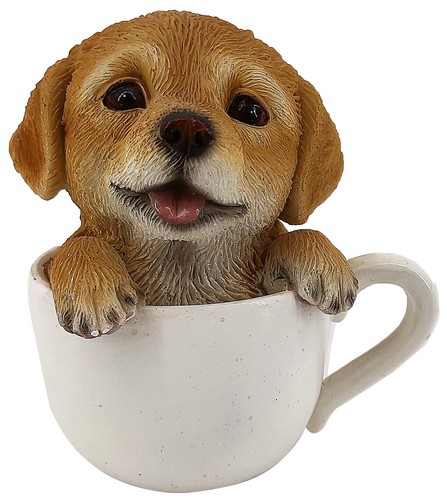 Cane labrador allegro - labrador, in