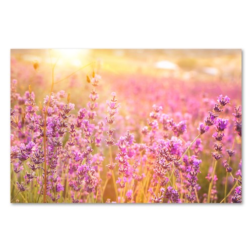 Postereck 2759 poster tela