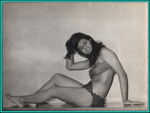 Terry terrone attrice - terrone,