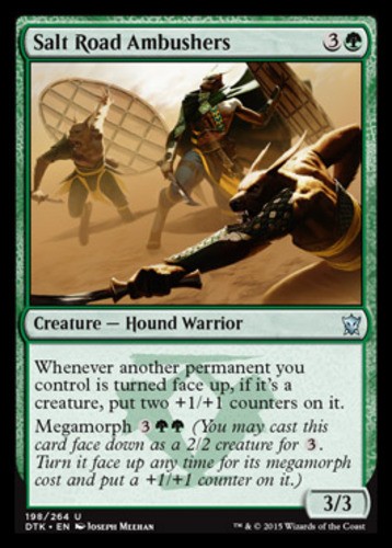 Salt road ambushers dragons - salt,