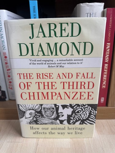 The rise and fall - the,