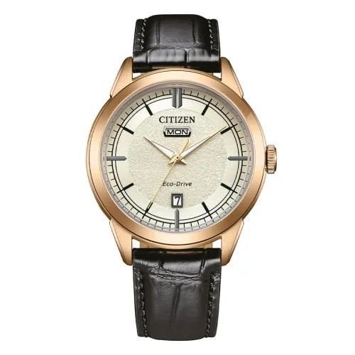 Citizen day date - citizen, day-date