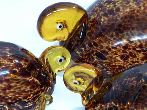 1970 trois tortues - b, ambre