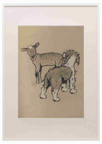 Aldin cecil bobtail - aldin,