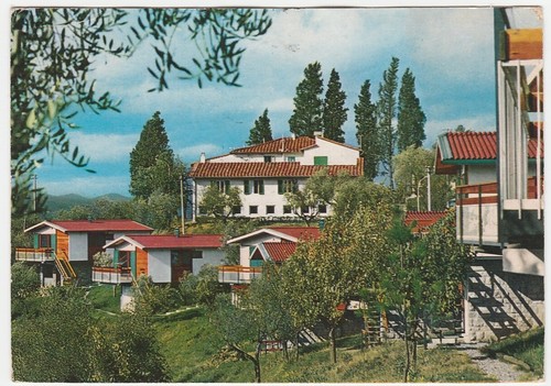 Loppiano campogiallo - -,