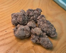 Cedar Resin ~ Pinus Cembra