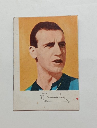 Figurina edj cartonata - figurina,