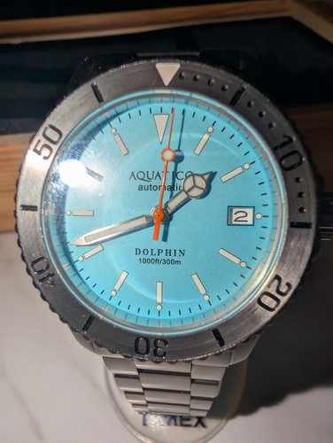 Orologio uomo aquatico - uomo, dolphin
