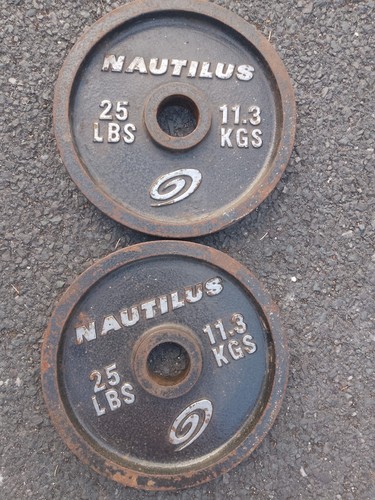 Conchiglia nautilus vintage - nautilus,