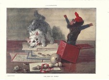 Stampa antica GATTO SPAVENTATO