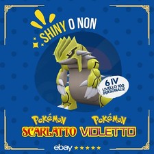 Groudon shiny non 6 - 6, iv