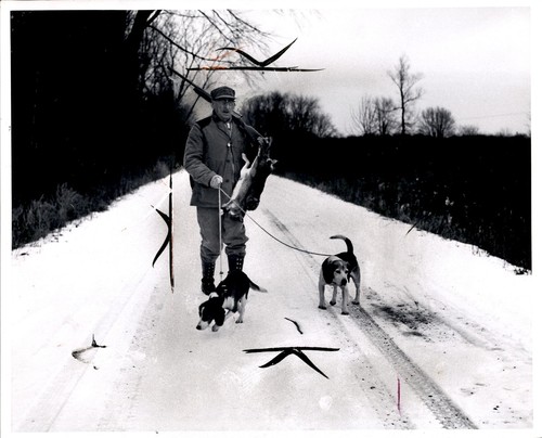 Ld359 1965 foto originale - 1965,