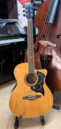 Eko nxt 018cweo - eko, chitarra