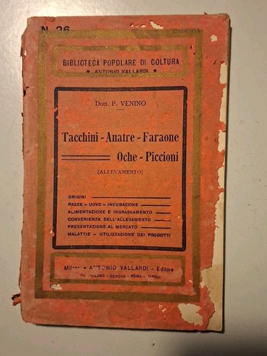 1912 allevamento tacchini - allevamento,