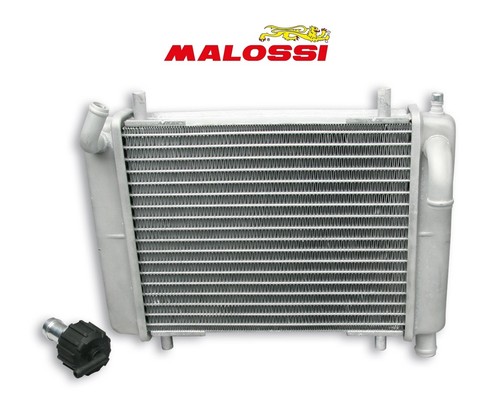 Radiatore nudo mhr piaggio - piaggio, zip