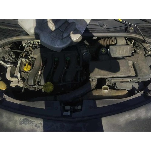 Motore non funzionante renault - motore,