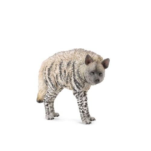 Iena righe collecta - a,