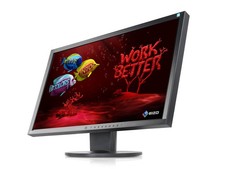 EIZO FlexScan EV2416W Monitor 24" LED 1920x1200 TN 250cd/m², 1000:1, 5ms, 16:10