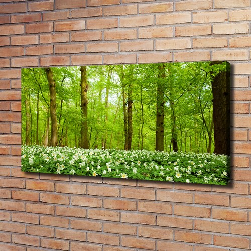 Quadro tela stampa - quadro, su