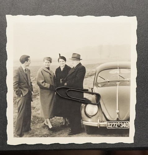 Foto ritratto maggiolino - foto,