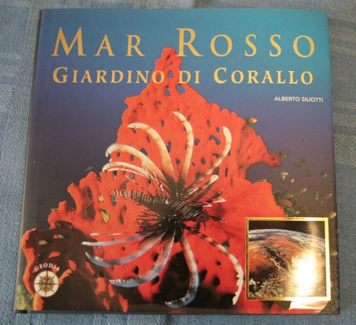 Mar rosso giardino corallo - rosso,