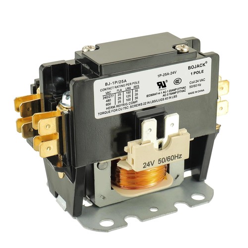 Bojack poli fla - 1, amp