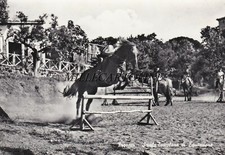 FRASCATI:  Scuola Tuscolana di equitazione