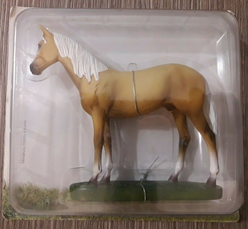 Cavalli miniature da - cavalli,