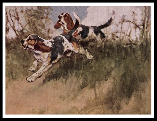 Poster stampa artistica cane - artistica,