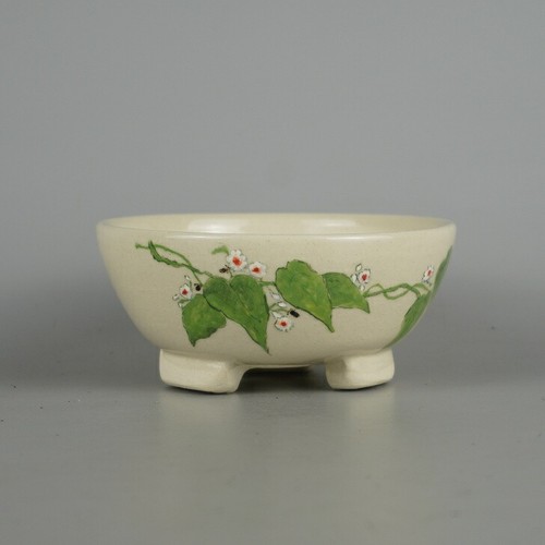 Vaso bonsai senzan tondo - bonsai,