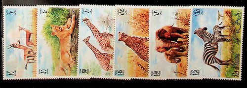 Ras khaima 621 - ras-al-khaima, 621-6