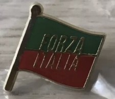 Spilla + Bandiera Forza Italia
