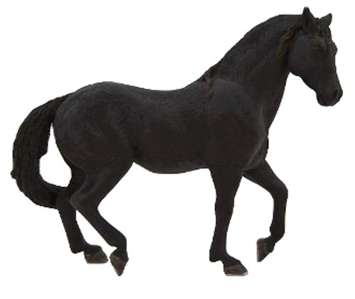 Mojo animali cavalli horses - mojo,