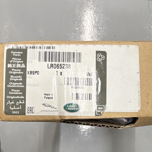 Coppa olio cambio - olio,